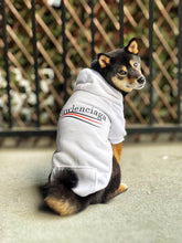 Load image into Gallery viewer, Pawlenciaga Hoodie
