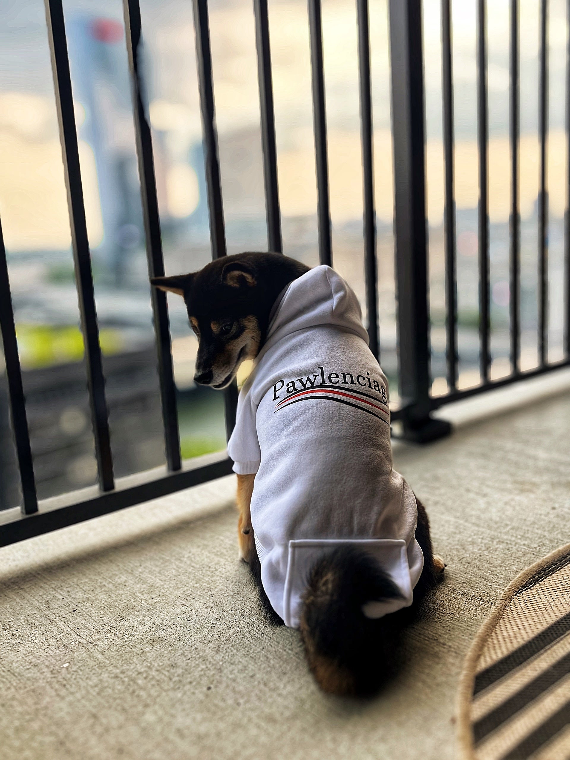 Pawlenciaga Hoodie – FurBaby Fits