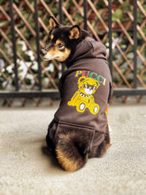 Load image into Gallery viewer, Pucci Hoodie

