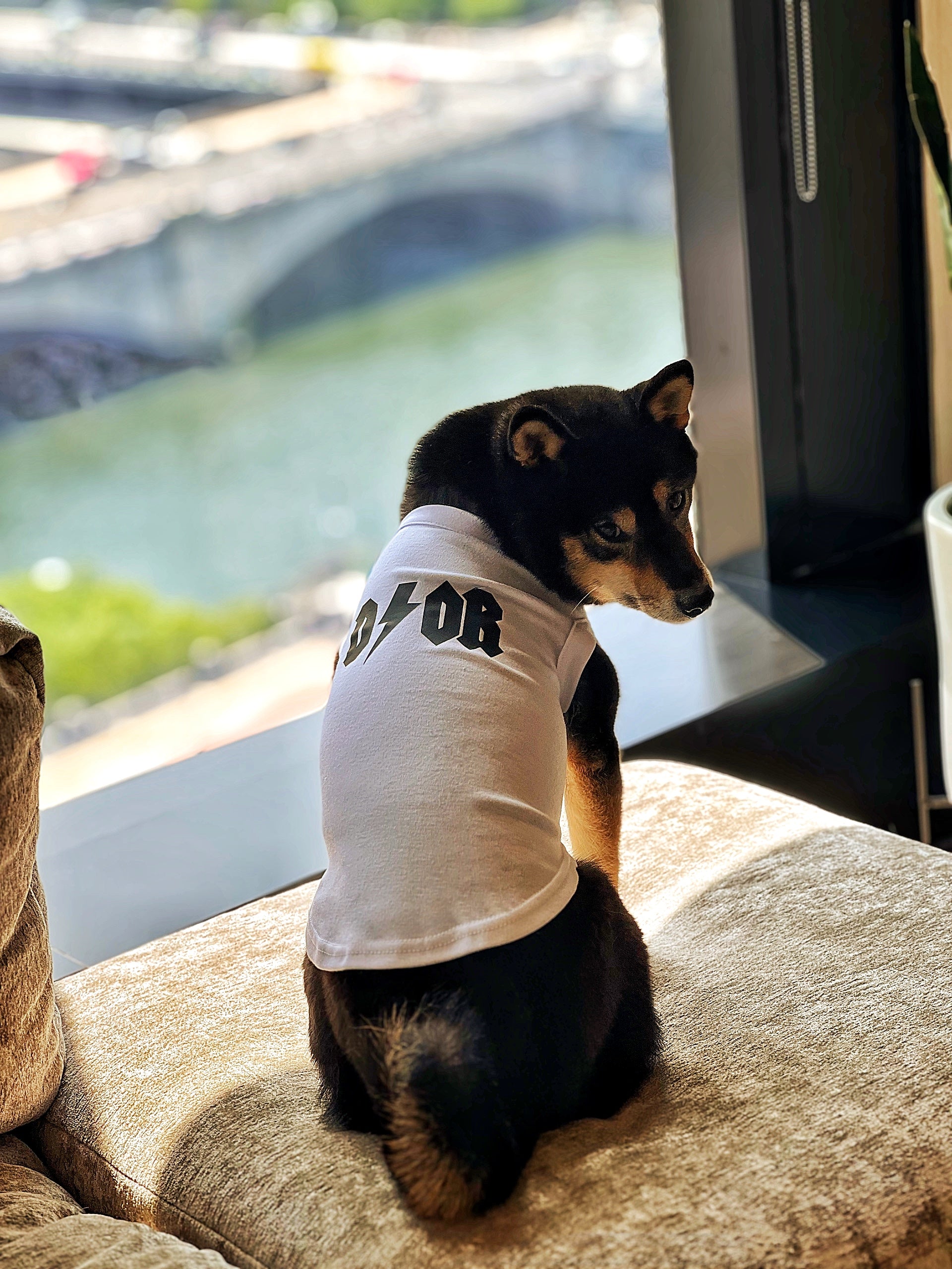 D/or Tee – FurBaby Fits